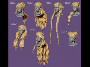 7 Fantasy female hairstyles 3D Model