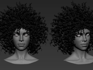 7 Female hair models 3D Model