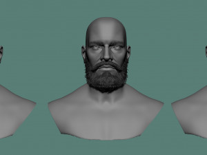 Male hair and beard models Modelo 3D