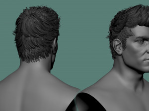 Male hair and beard models Modelo 3D
