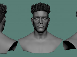 Male hair and beard models Modelo 3D