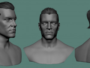 Male hair and beard models Modelo 3D