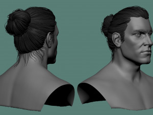 Male hair and beard models Modelo 3D