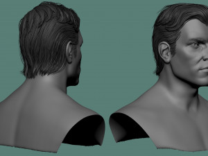 Male hair and beard models Modelo 3D