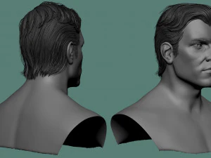 पुरुष बाल और दाढ़ी मॉडल 3D मॉडल