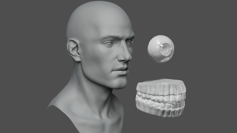 Male head basemesh Modelo 3D .c4d .max .obj .3ds .fbx .stl .blend