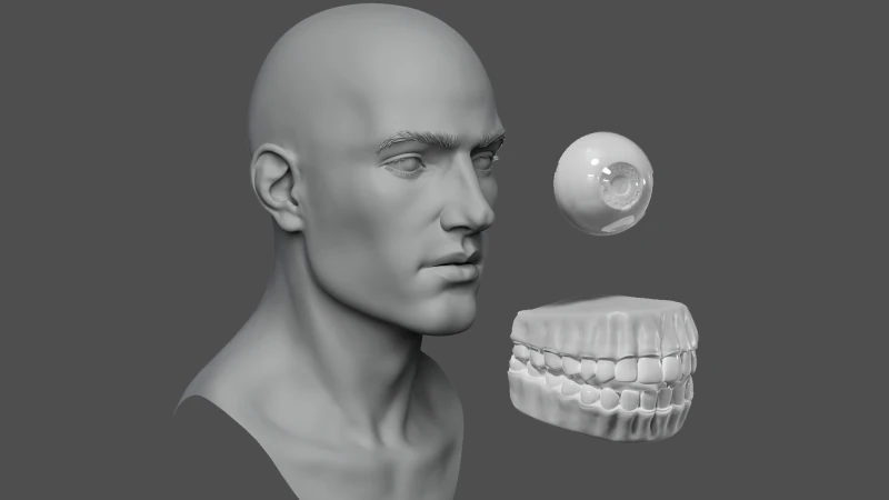 Male head basemesh 3D Model .c4d .max .obj .3ds .fbx .stl .blend