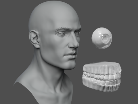 Male head basemesh 3D मॉडल
