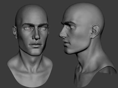 Male head basemesh 3D Model
