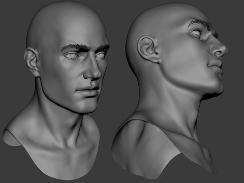 Male head basemesh Modelo 3D