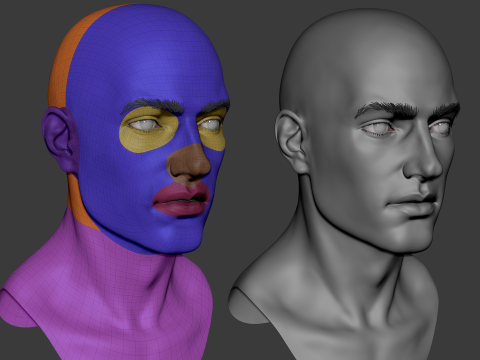 Male head basemesh Modelo 3D
