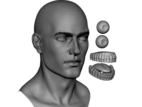 Male head basemesh Modelo 3D