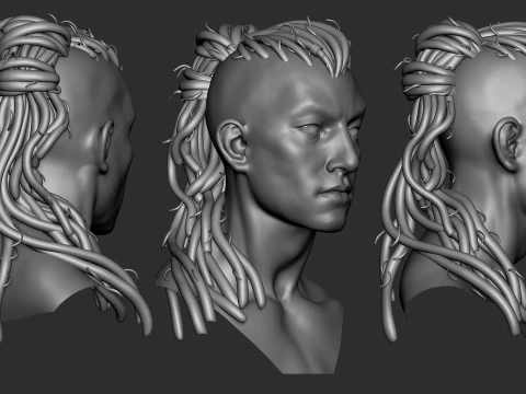 7 fantasy male hair models with the head model included - Bundle 3D Model