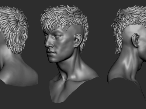 7 fantasy male hair models with the head model included - Bundle 3D Model