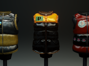 Puffer Cloth 3D Model