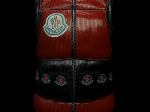 Puffer Cloth 3D Model