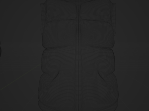 Puffer Cloth 3D Model