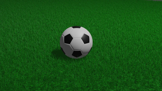 Soccer ball 3D Model .c4d .max .obj .3ds .fbx .stl .blend 
