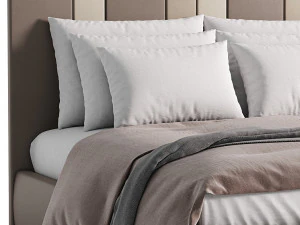 Programa Diferente Modelo 3D