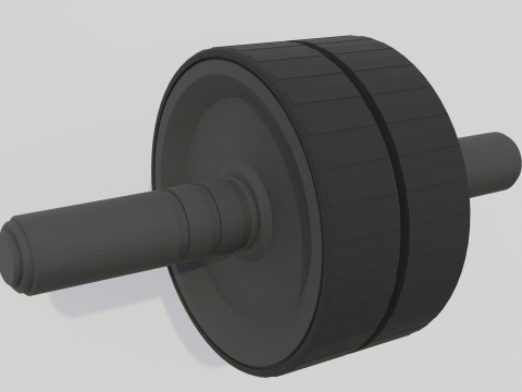 Double Exercise Wheel 3D Model