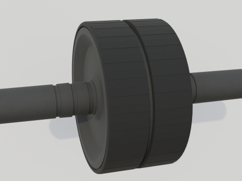 Double Exercise Wheel Model 3D