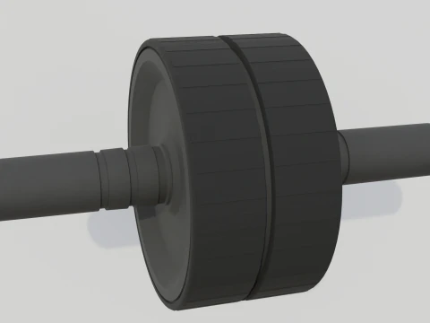 Double Exercise Wheel 3D Model