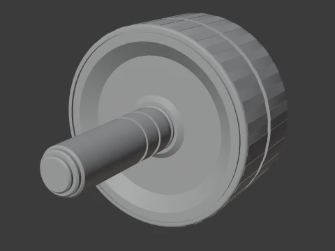 Double Exercise Wheel 3D Model