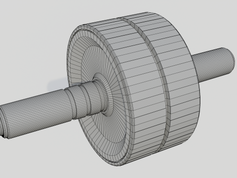 Double Exercise Wheel Model 3D