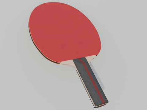 Table Tennis Racket 3D Model
