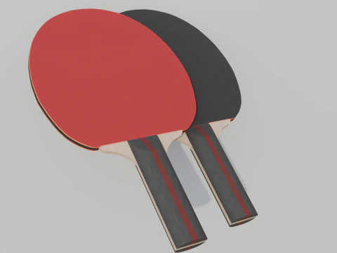 Table Tennis Racket 3D Model
