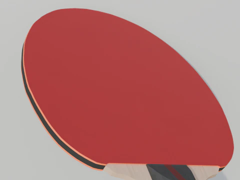 Table Tennis Racket 3D Model