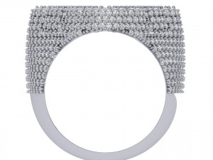 Cross Ring 3D मॉडल