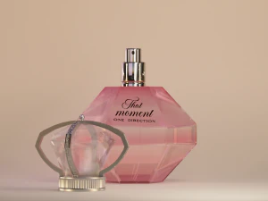 That Moment Perfume by One Direction 3D Model