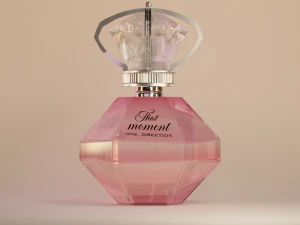 That Moment Perfume by One Direction 3D Model