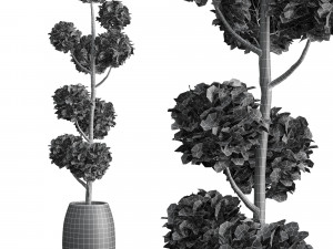 Junipers in sepia Duo ceramic planters 3D Modell