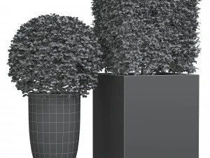 Potted Topiary Buxus 01 3D Model