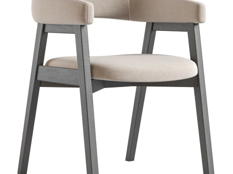 Darcey Arm Chair by Wayfair 3D Model
