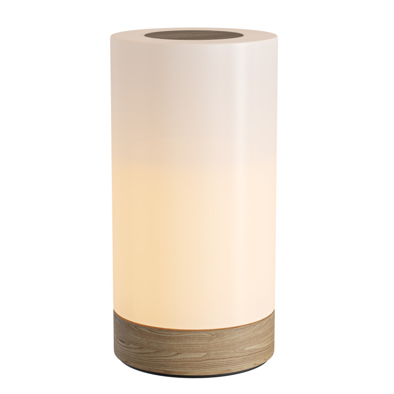 Bedroom Desk Lamp Rechargeable Remote Control Touch Wireless Small Night Lamp Modelo 3D .c4d .max .obj .3ds .fbx .stl .blend 