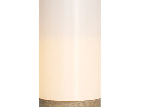 Bedroom Desk Lamp Rechargeable Remote Control Touch Wireless Small Night Lamp 3D Model