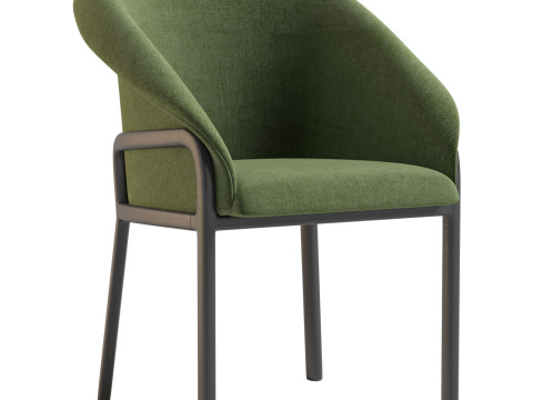 Minimalist Organic Chair Modelo 3D