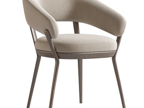 RAY DINING CHAIR BY ROCHE BOBOIS 3D Model