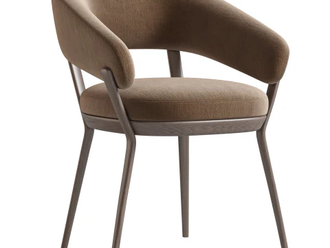 RAY DINING CHAIR BY ROCHE BOBOIS 3D Model