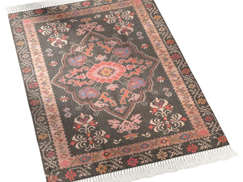 Cori Medallion Printed Rug 3D 模型