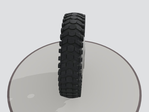 Wheel with disk 3D 模型