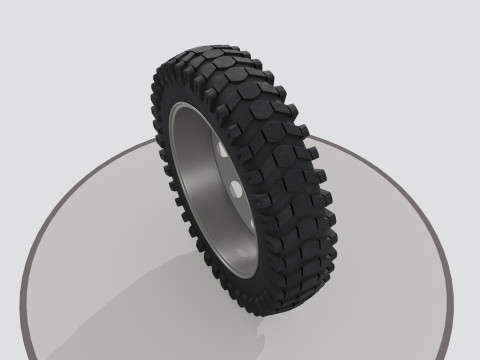 Wheel with disk 3D 模型