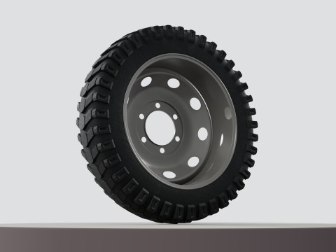 Wheel with disk 3D 模型