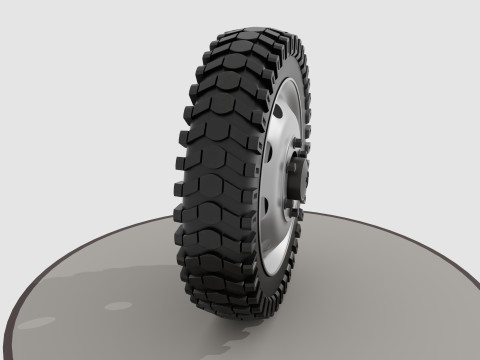 Wheel with disk and nuts Model 3D