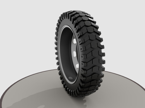 Wheel with disk and nuts Model 3D