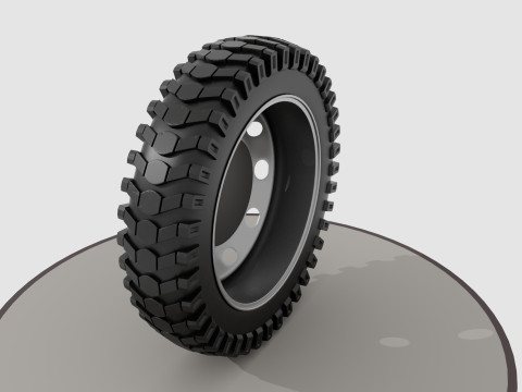 Wheel with disk and nuts Model 3D