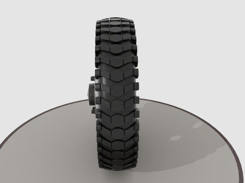 Wheel with disk and nuts Model 3D